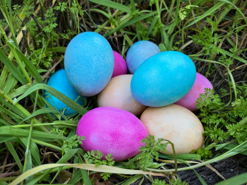 Dyeing Easter Eggs with Food Coloring